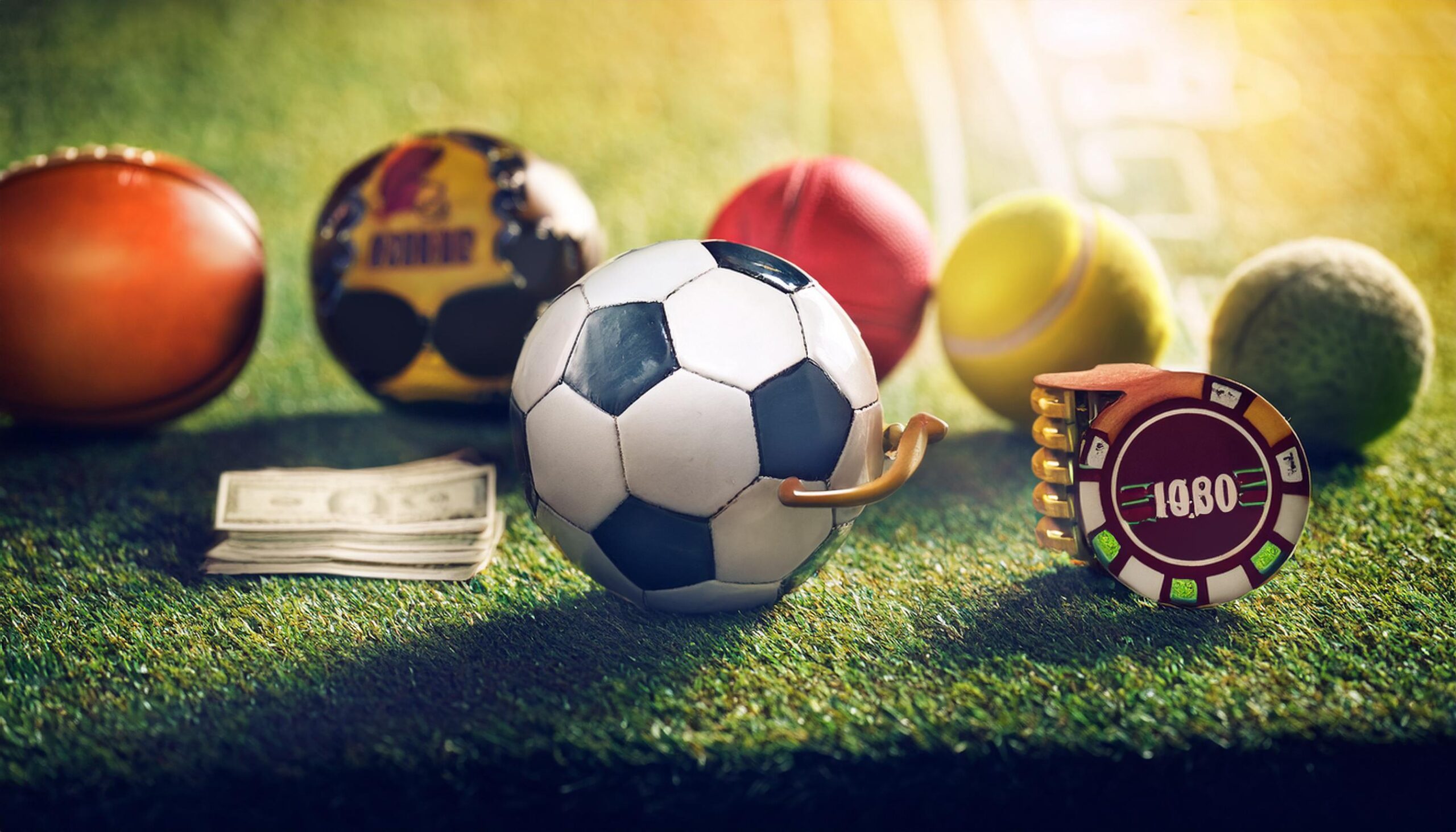 Lotus365 – Online Cricket Betting: A Complete User Overview