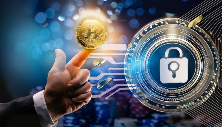 Lotus365 Cricket Betting ID: How the Platform Works